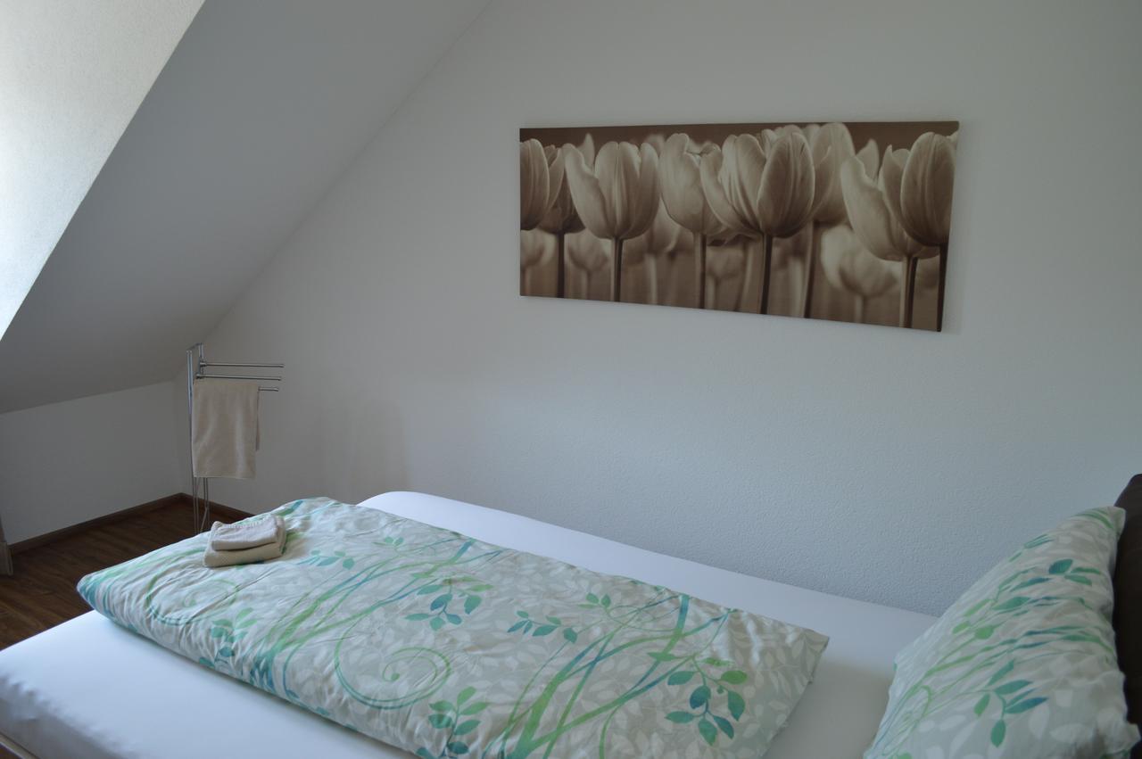 Bnb Zum Schluessel Unterehrendingen エクステリア 写真