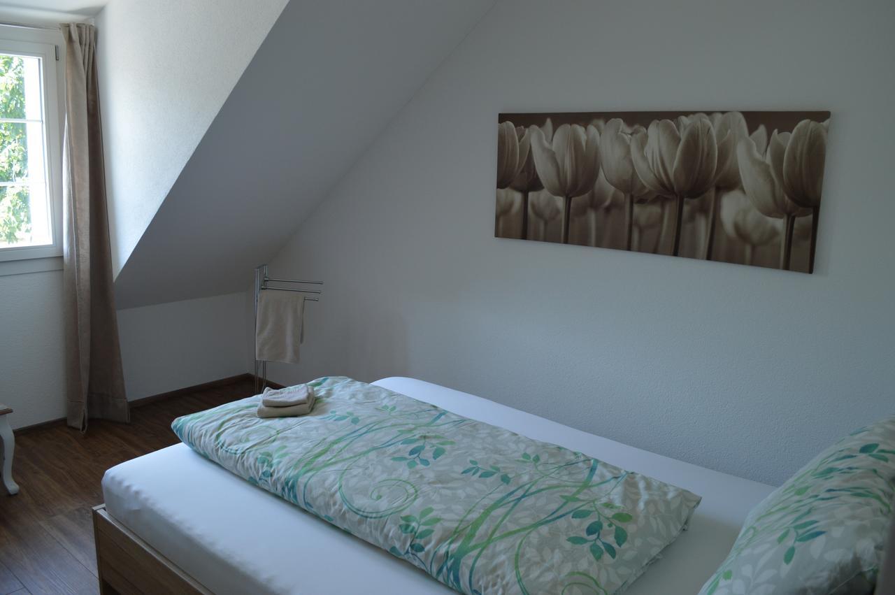 Bnb Zum Schluessel Unterehrendingen エクステリア 写真